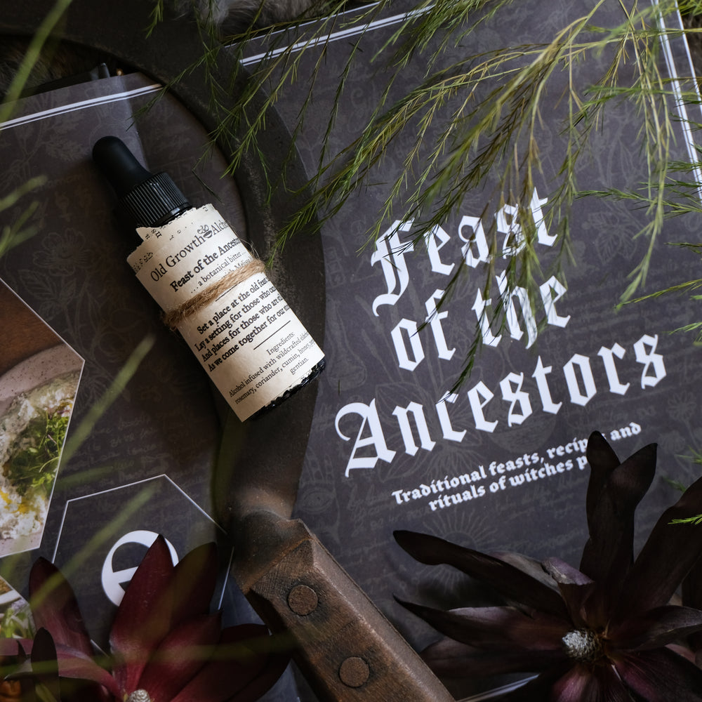 
                  
                    Load image into Gallery viewer, Feast of the Ancestors Bitters - Collaboration with Melissa Madara
                  
                