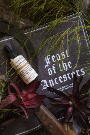 
                  
                    Load image into Gallery viewer, Feast of the Ancestors Bitters - Collaboration with Melissa Madara
                  
                