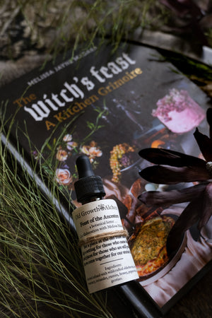 
                  
                    Load image into Gallery viewer, Feast of the Ancestors Bitters - Collaboration with Melissa Madara
                  
                