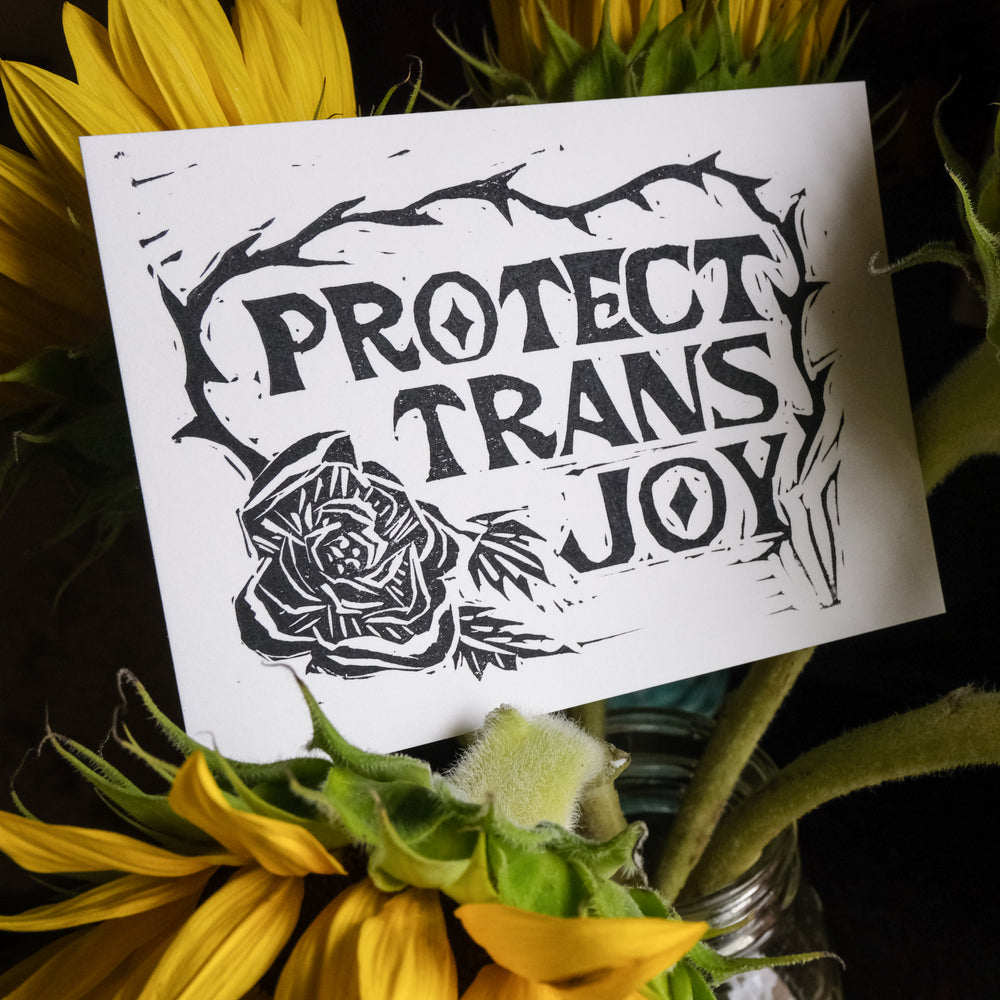 
                  
                    Load image into Gallery viewer, Protect Trans Joy Print
                  
                