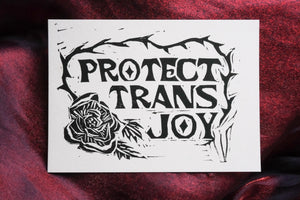 
                  
                    Load image into Gallery viewer, Protect Trans Joy Print
                  
                