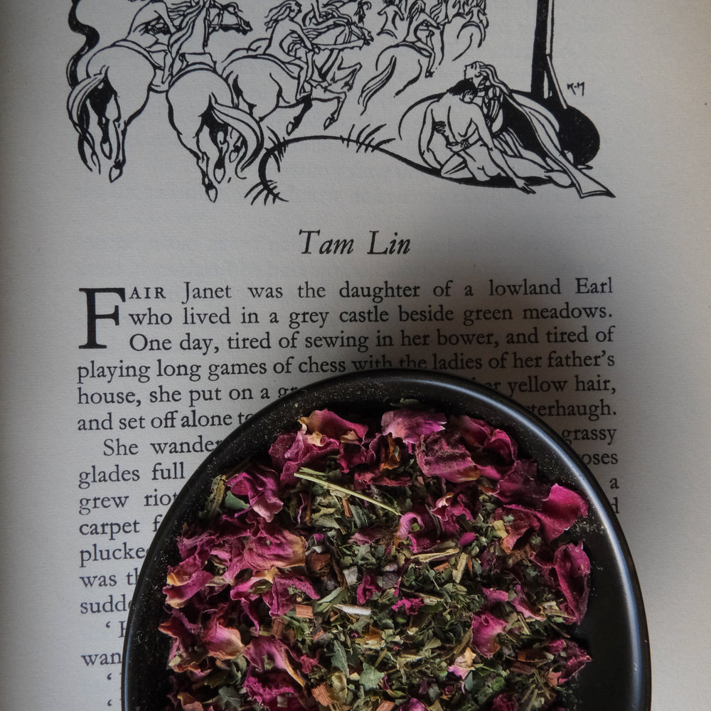 Tam Lin Herbal Tea Blend – Old Growth Alchemy